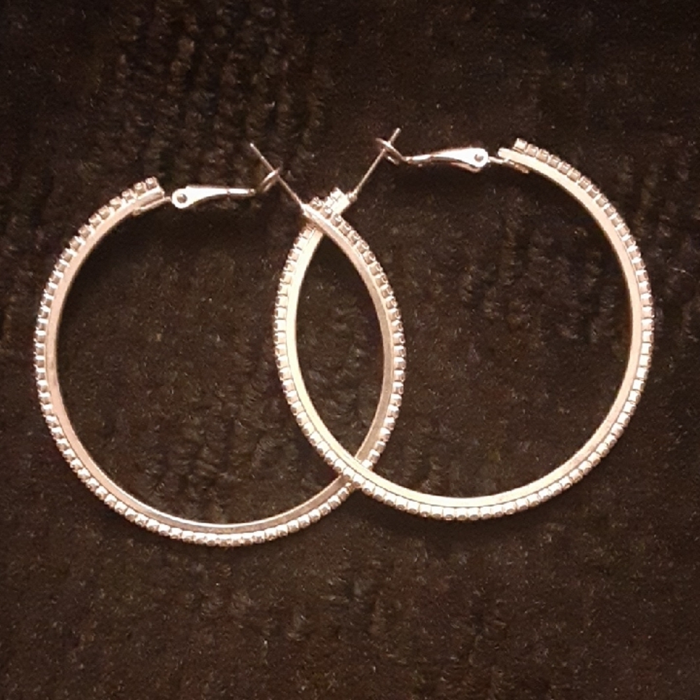 Elegant Silver Hoop Earrings - Picture 1 of 4